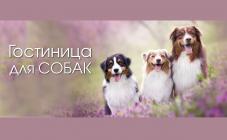 Гостиница для животных "Зоохобби" - фото (802-3441)