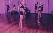 Pole Dance Place - фото (8303-51758)