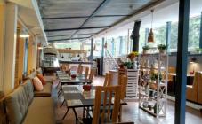 Rocka Rabbit - фото (5000-47478)