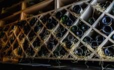 O`zero - фото (6252-41294)