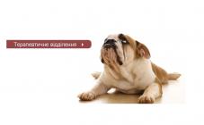 VetMed - фото (637-2410)