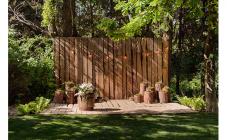 Фотостудия InLight - фото (1484-8058)