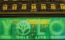 Yolo - фото (6228-42376)