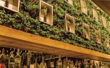 Yolo - фото (6228-42379)