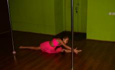 Terola Pole Dance Class - фото (7388-43083)