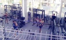 TSARSKY - фото (579-2022)