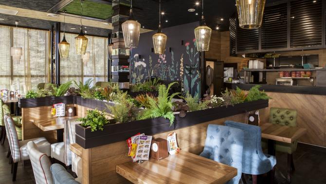 Евразия - фото (6287-41676)