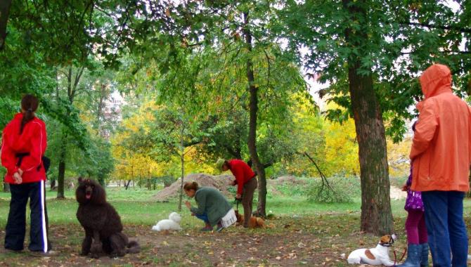 Кинологический центр Лармон - фото (809-3470)