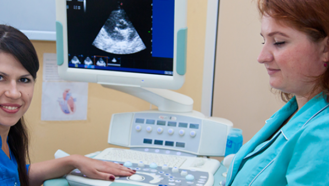 ZOOЛЮКС - фото (638-2413)