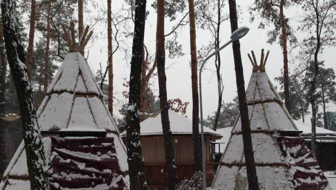 Fire Bull - фото (4548-47926)