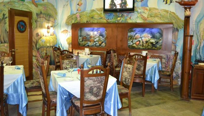 Акула-джаз - фото (6250-41495)