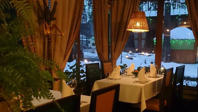 Ёлка - фото (3537-42483)