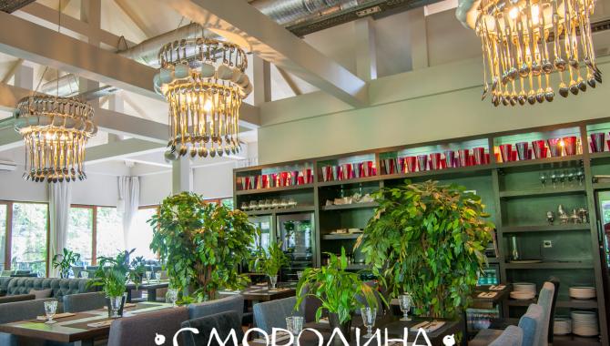 Смородина - фото (6238-41996)