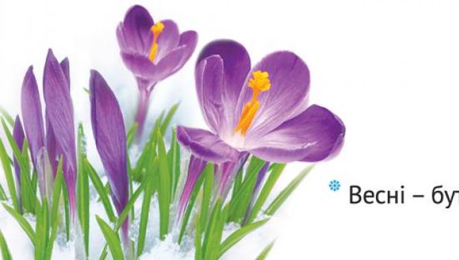 Aequo - фото (730-3038)