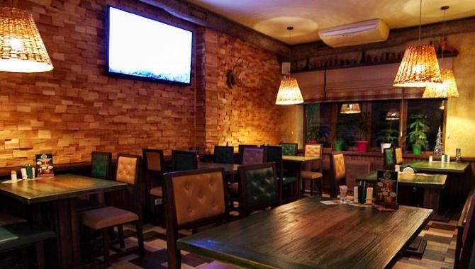 Ёлка - фото (3537-42486)