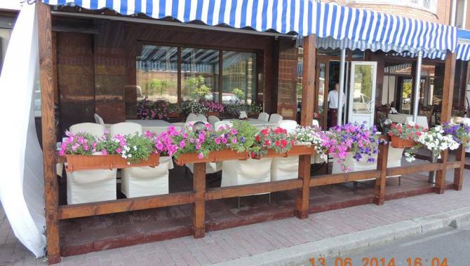 Акула-джаз - фото (6250-41490)