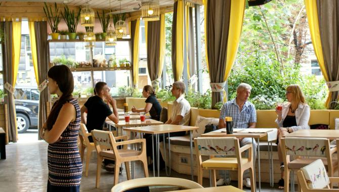 Канарейка - фото (4104-46434)