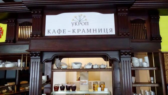 Укроп - фото (3721-46283)