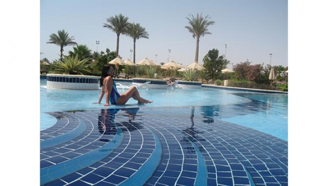 Туристическое агентство "TOP TRAVEL" - фото (1398-7665)