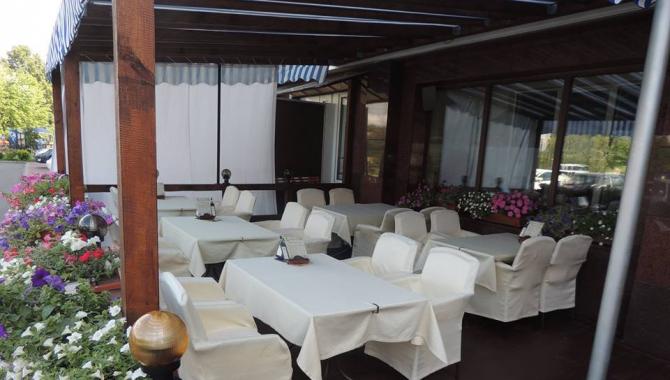 Акула-джаз - фото (6250-41492)