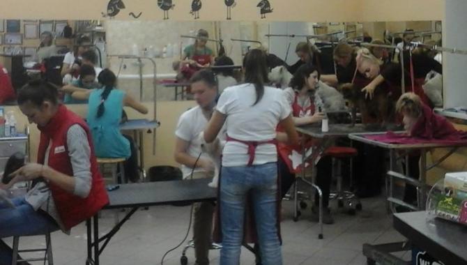 Салон для животных Mary Groom - фото (814-3500)