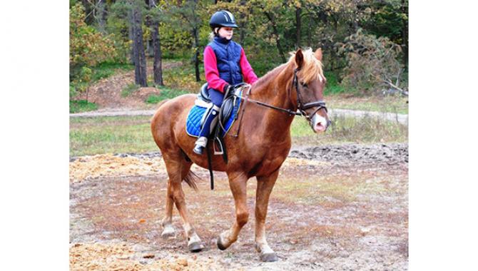 Конно-прогулочная база "Набег" - фото (1220-6747)