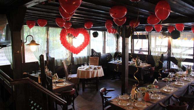 Вудди - фото (5176-46469)