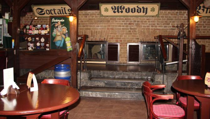 Вудди - фото (5176-46463)