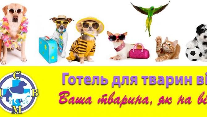 «Центр современной ветеринарной медицины» - фото (707-2889)