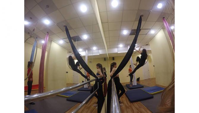 Aleksa Studio - фото (1306-7232)