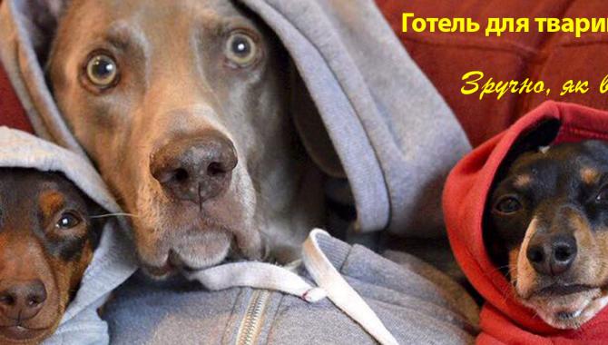 «Центр современной ветеринарной медицины» - фото (707-2886)