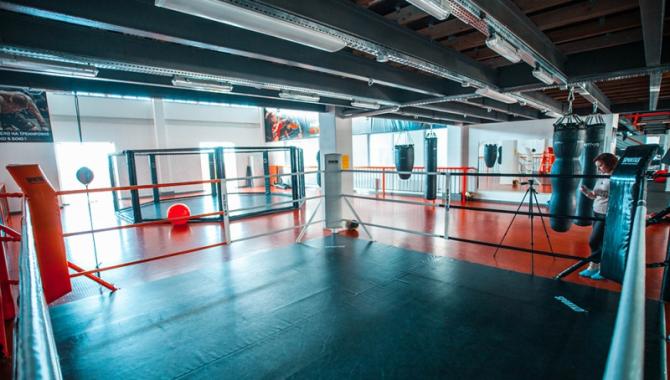 MegaGym - фото (574-1995)