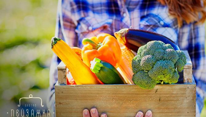 Gastro Bar Пейзажка - фото (3989-26312)