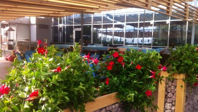 Ресторан Dk - фото (4573-27373)