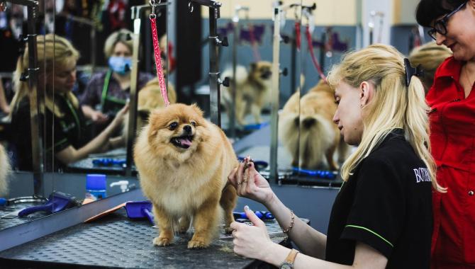 Салон для животных Mary Groom - фото (814-3501)