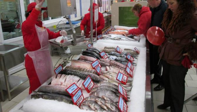 Велмарт - фото (7167-43577)