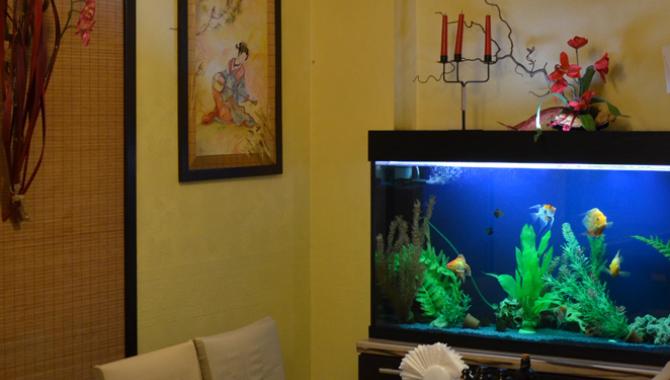 Суши Таун - фото (3905-48217)