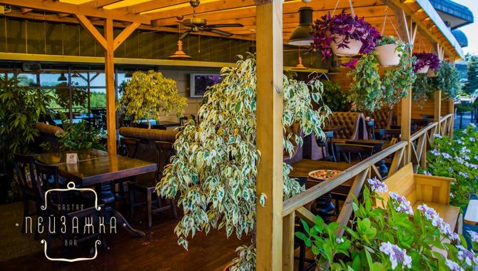 Пейзажка - фото (4967-46843)