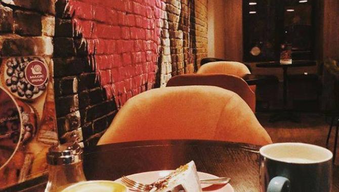 Magic Snail - фото (3745-48063)