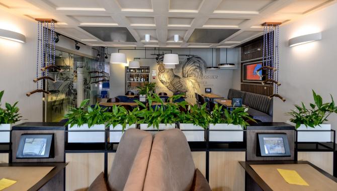 Rooster - фото (4296-47556)