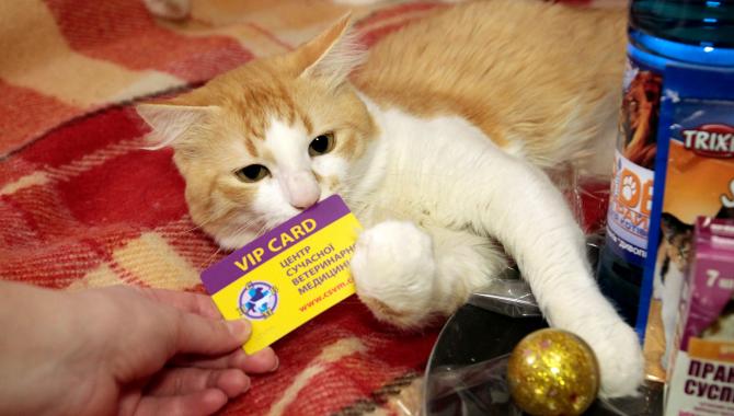 «Центр современной ветеринарной медицины» - фото (707-2888)