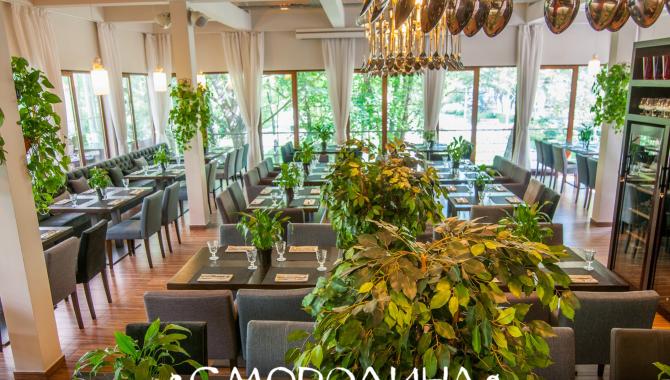 Смородина - фото (6238-41993)