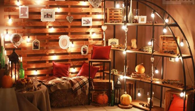 Zefir - фото (6184-42392)