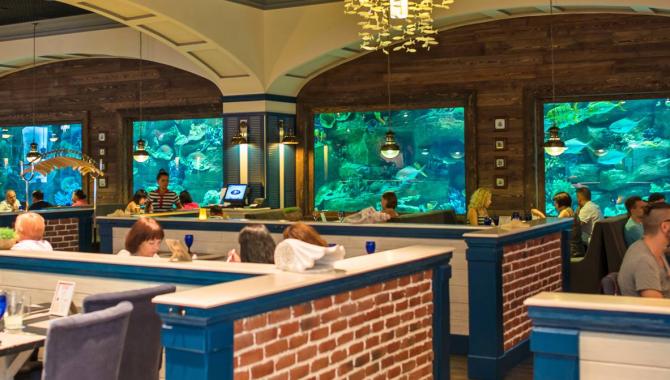 Марлин - рыбный ресторан - фото (844-3699)