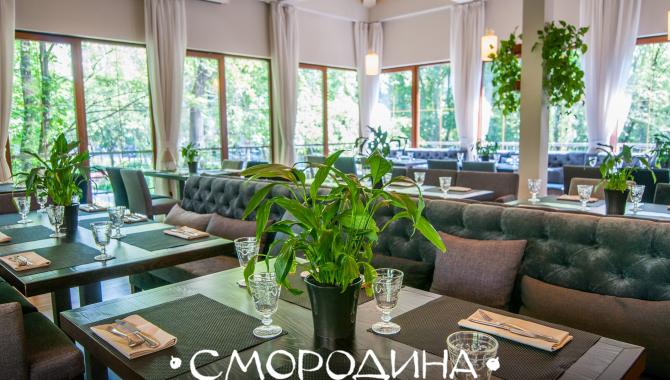 Смородина - фото (6238-41991)