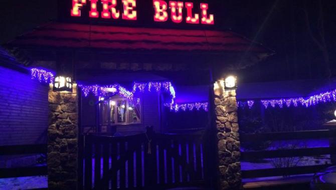 Fire Bull - фото (4548-47925)