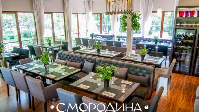 Смородина - фото (6238-41990)