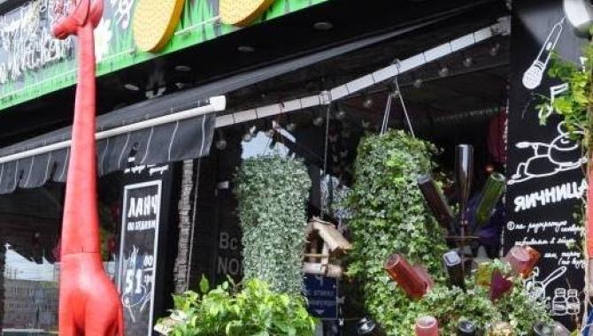 Поляна - фото (4572-27718)