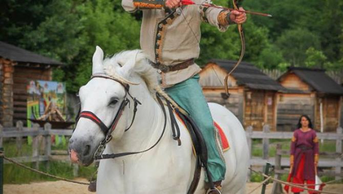 Конный лучный тир Мустанг "Днепр" - фото (9241-53581)
