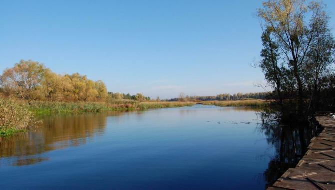 Яхт-клуб Південний - фото (951-4365)